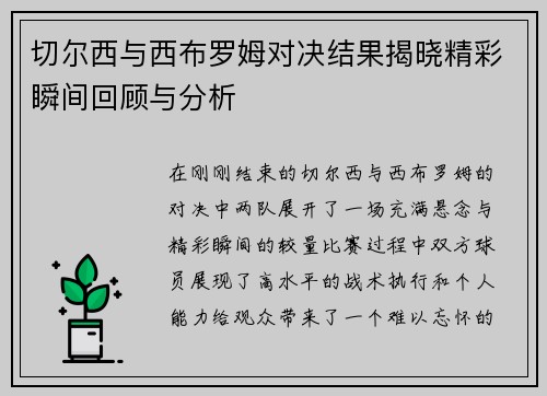 切尔西与西布罗姆对决结果揭晓精彩瞬间回顾与分析