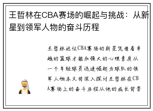 王哲林在CBA赛场的崛起与挑战：从新星到领军人物的奋斗历程