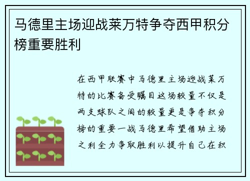 马德里主场迎战莱万特争夺西甲积分榜重要胜利