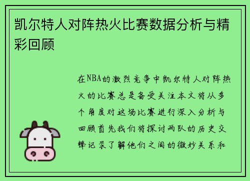 凯尔特人对阵热火比赛数据分析与精彩回顾