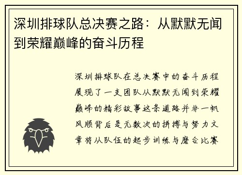 深圳排球队总决赛之路：从默默无闻到荣耀巅峰的奋斗历程