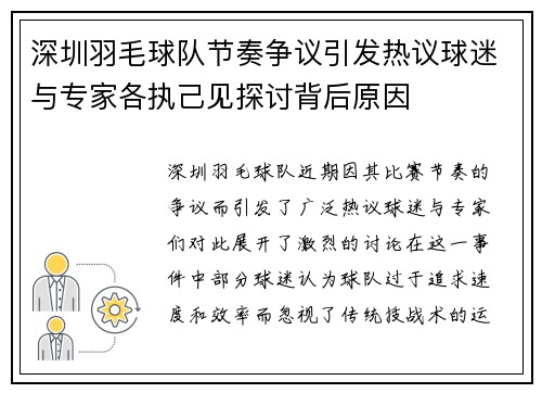 深圳羽毛球队节奏争议引发热议球迷与专家各执己见探讨背后原因