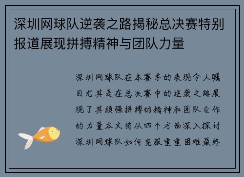 深圳网球队逆袭之路揭秘总决赛特别报道展现拼搏精神与团队力量