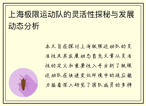 上海极限运动队的灵活性探秘与发展动态分析
